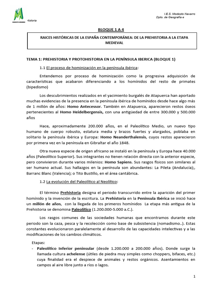 Tema 1 Prehistoria Y Protohistoria De La Península Ibérica Pdf