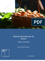 Art ProduccionHuevos