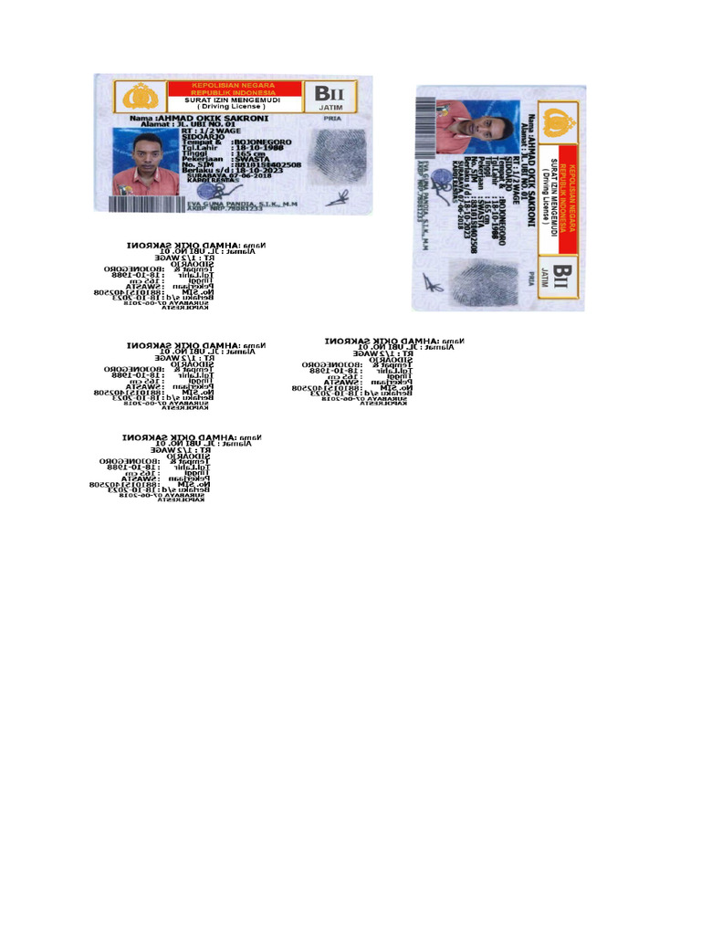 Print Sim | PDF