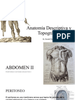 Peritoneo y Órganos Abdominales