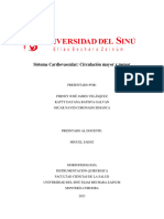 Sistema Cardiovascular