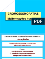 Cromossomopatias Malformações Humanas