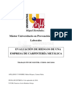 Muñoz Rizquez, Carmen M TFM - PDFH
