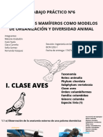 Trabajo Práctico Nº6 Las Aves y Los Mamíferos Como Modelos de Organización y Diversidad Animal