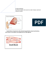 ZION SALTIBUS - Muscles and Movement