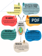 Grafico Mapa Conceptual Esquema Creativo Multicolor