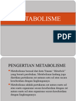 PPT_Metabolisme