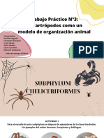 Trabajo Práctico de Zoología N°3 