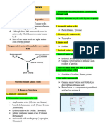 Biochemistry Lecture Amino Acids