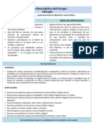 Ficha Descriptiva Del Grupo