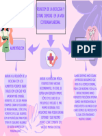 Organizador Gráfico Mapa Conceptual Orgánico Lila