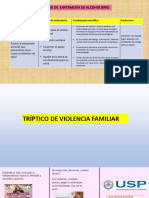 Triptico y Proceso