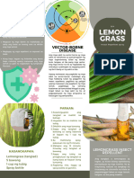 Lemongrass Mosquito Repellent Brochure