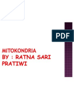 PPT Mitokondria
