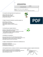 DIAGNÓSTICO 3° Cs Nat