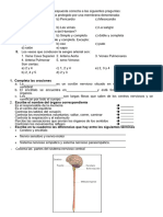 Sistema Circulatorio, Excretor