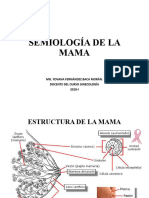 Semiología de La Mama