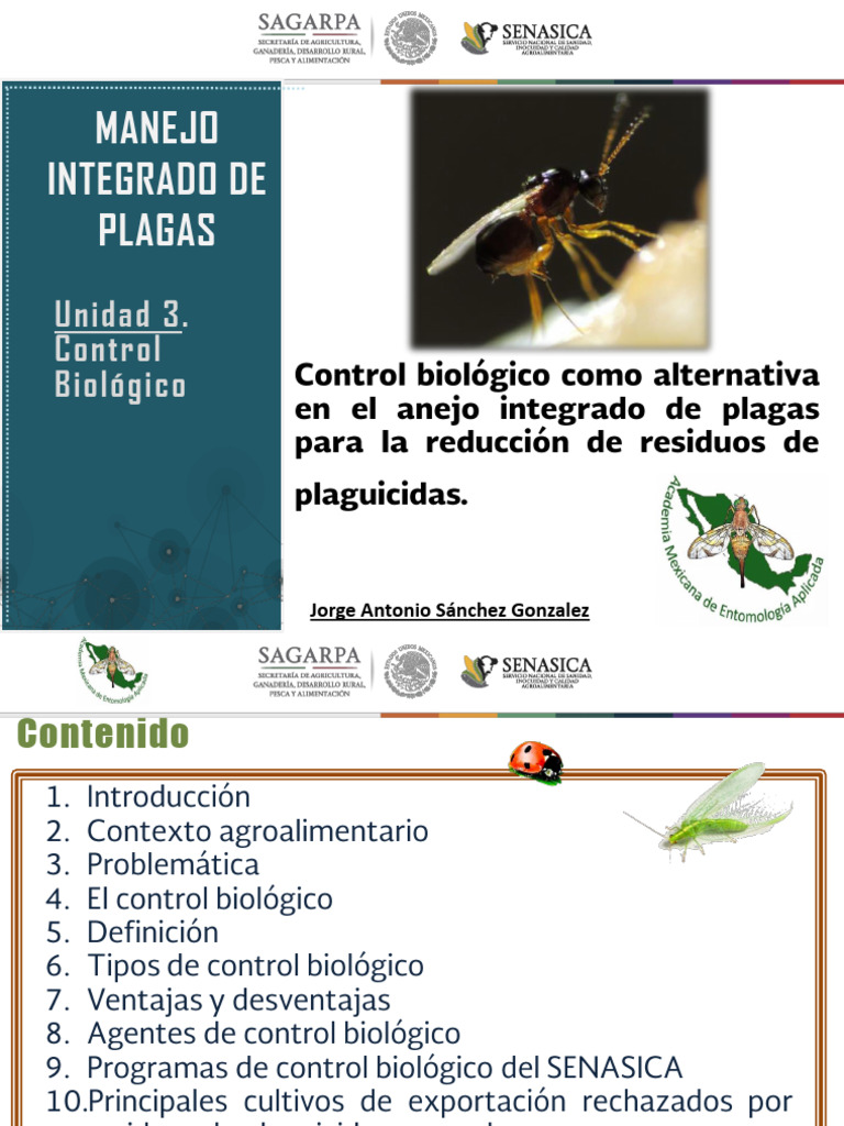 Control Biologico | PDF | Control biológico de plagas | Insectos