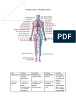 Anatomia Venas y Arterias Del Cuerpo