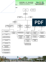 Organigrama Bueno