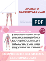 Aparato Cardiovascular-2