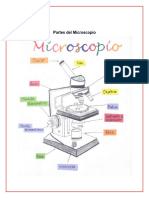 Trabajo Partes y Manejo Del Microscopio