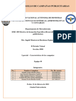 Caracteristicas de Campañas