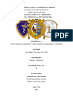 Informe de Práctica #6 - Química Orgánica II