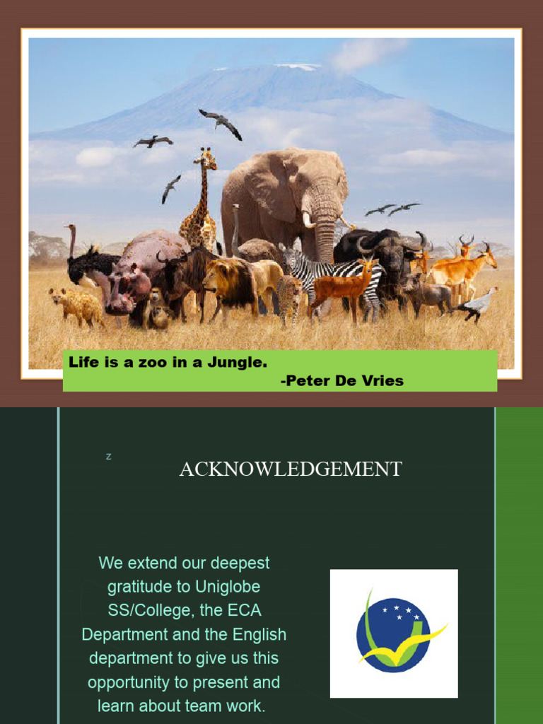 Zoo Ethical or PDF Zoo Animal Welfare