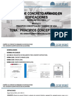 Ccip Dcae Tema 01 Principios Conceptuales