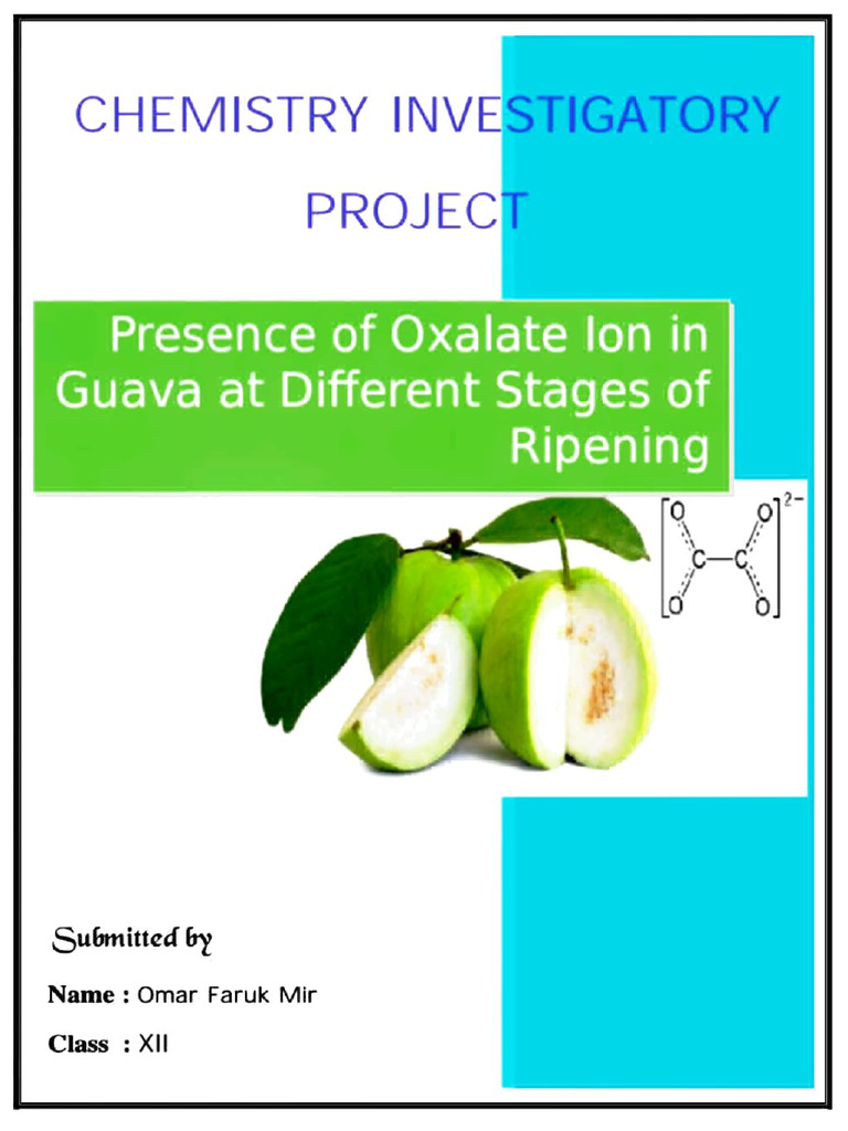 Chemistry Project PDF Titration Chemistry