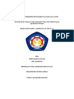 Pengembangan Kelapa Sawit Reki Martiansyah