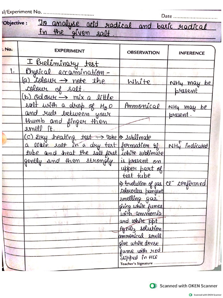 Salt Analysis +2 | PDF