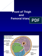 2 Femoral Triangle