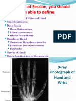 Palm and Joints of Hand