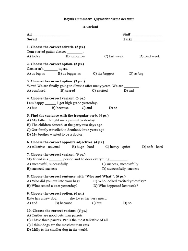 6th Grade English Summative Assessment | PDF | Syntax | Grammar
