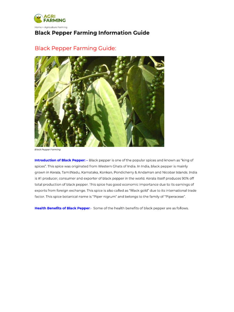 Black Pepper Farming Information Guide Agri Farming PDF