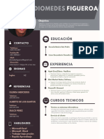 Curriculum CV Marketing Profesional Gris Oscuro  