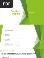 MuleSoft Training