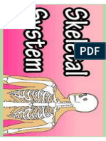 Skeletal System Print