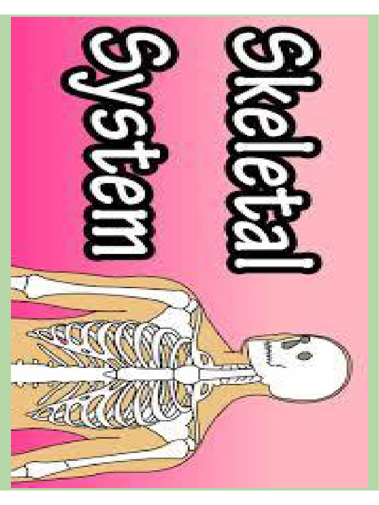 Skeletal system print pdf