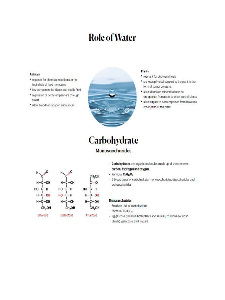 Biomolecules Enzymes PDF