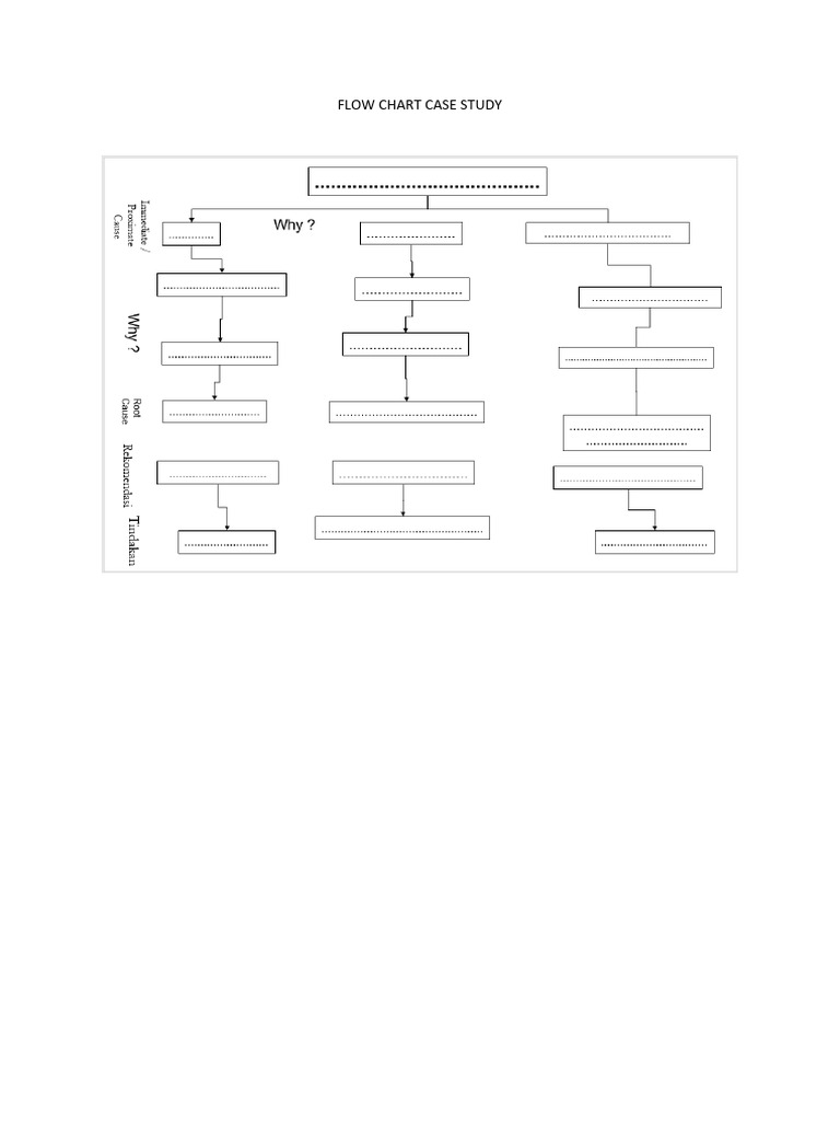 Flow Chart Case Study | PDF