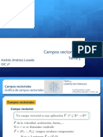 Campos Vectoriales: Tema 5