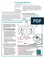Acupuncture Protocol For Sea Turtle Resuscitation