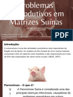 Prob. Reprod. em Matrizes Suínas - Parvovirose