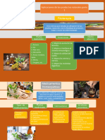 Mapa Conceptuales Fisioterapia y Homeopáticos 1