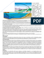 Ciclo Del Carbono