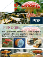 Reino Fungi