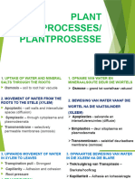 Plant Processes